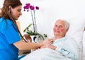 Geriatric examination Royalty Free Stock Photo