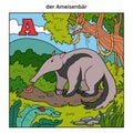 German alphabet, letter A (anteater and background)