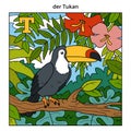 German alphabet, letter T (toucan and background)