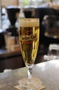 German Berliner Kindl beer in speical Berliner Kindl beer glass