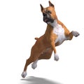 German Boxer Dog. 3D rendering with clipping path