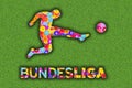 german Bundesliga Logo with colorful flowers on green background