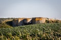 A german bunker in a field at the normandy coastline in france