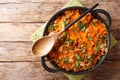 German cabbage casserole with ground beef, tomatoes, onions and cheddar cheese close-up in a pan. horizontal top view Royalty Free Stock Photo