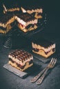 German cake Donauwelle Danube waves - vanilla and chocolate sponge cake with sour cherries, vanilla buttercream and chocolate Royalty Free Stock Photo