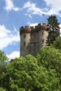 German castle with flag