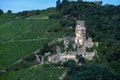 German castle ruins in vineyards Royalty Free Stock Photo