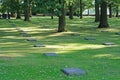 German cemetery, Flanders, shallow dof