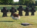 German cemetery in La Cambe in Normandy with black corosses