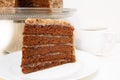 German Chocolate Cake Slice Closeup Royalty Free Stock Photo