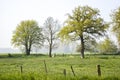 German countryside landscape Royalty Free Stock Photo