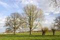 German countryside landscape with tree, Germany Royalty Free Stock Photo