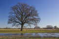 German countryside landscape in winter, Issum, Germany Royalty Free Stock Photo