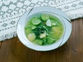 German cucumber soup Royalty Free Stock Photo