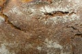 German dark bread texture background Royalty Free Stock Photo
