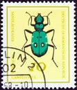 GERMAN DEMOCRATIC REPUBLIC - CIRCA 1968: A stamp printed in Germany shows Green Tiger beetle Cicindela campestris, circa 1968.