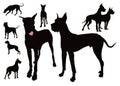 German dog eight silhouettes Royalty Free Stock Photo
