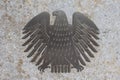 The german eagle (Bundesadler), the logo of the German Bundestag Royalty Free Stock Photo