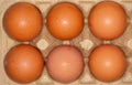 Eggs lies in a egg carton Royalty Free Stock Photo