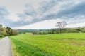 German Eifel landscape in spring with gentle slopes and budding green of trees