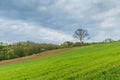 German Eifel landscape in spring with gentle slopes and budding green of trees and shrubs