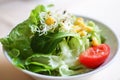 German food ruccola salad Royalty Free Stock Photo