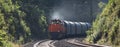 German freight train Royalty Free Stock Photo