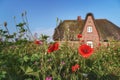 German Frisian house and garden with flowers