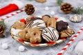 German gingerbread cookies with sugar and brown and white chocolate glazing in heart and star shape called `Lebkuchen`