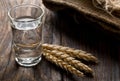 German hard liquor Korn Schnapps in shot glass with wheat ears