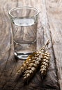 German hard liquor Korn Schnapps in shot glass with wheat ears Royalty Free Stock Photo