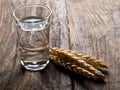 German hard liquor Korn Schnapps in shot glass with wheat ears