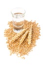 German hard liquor Korn Schnapps in shot glass with wheat grains Royalty Free Stock Photo