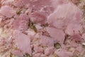 German head cheese, Schinkensulze,  close up full frame Royalty Free Stock Photo