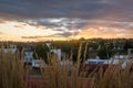 Sunset container trains at railroad junction