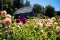 German house with flowers in Frutillar in Chile