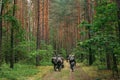 German Infantry Soldier In World War II Marching Walking Along F