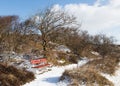 Spiekeroog in the winter Royalty Free Stock Photo