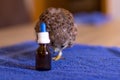 German kestrel gets his medicine on a towel Royalty Free Stock Photo