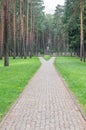 German memorial cemetery near Smolensk in Russia.