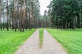 German memorial cemetery near Smolensk in Russia. Royalty Free Stock Photo