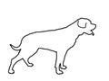 German military guardian dog rottweiler portrait vector line contour illustration