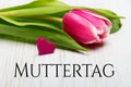 German Mother`s day card with word Muttertag Mother`s day tulip and hearts
