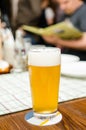 German pilsner beer Royalty Free Stock Photo
