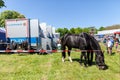 German police horse grazing on a fenced off area