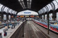 German regional express train from Deutsche Bahn, arrives at hamburg train station in june 2014