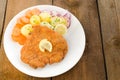 German schnitzel Royalty Free Stock Photo