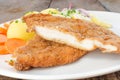 German schnitzel Royalty Free Stock Photo