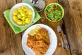 German schnitzel Royalty Free Stock Photo