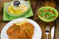 German schnitzel Royalty Free Stock Photo